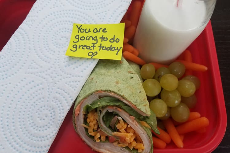 Turkey and Cheese Spinach Wraps