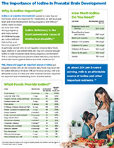 DMI Supplement – Prenatal PDF