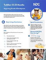 NDC Supplement – Toddlers PDF