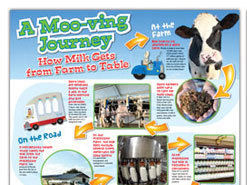 Resources - Dairy 101 Image