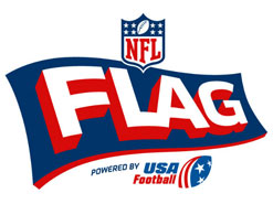 NFL Flag Image