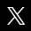 x icon