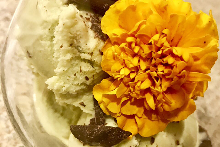 Avacado-Ice-Cream-Web.jpg