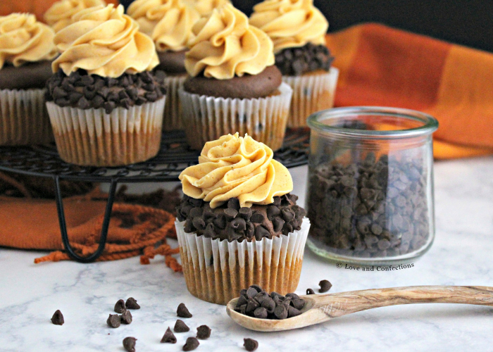 Chocolate Chip Pumpkin Cupcakes with Chocolate and Pumpkin Frostings
