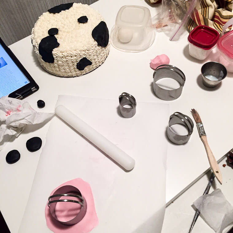 cow-cake