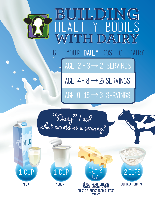 Building Healthy Bodies with Dairy Flyer