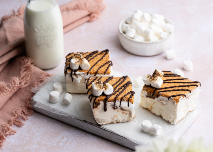 S’mores Frozen Yogurt Sandwiches Featured Image
