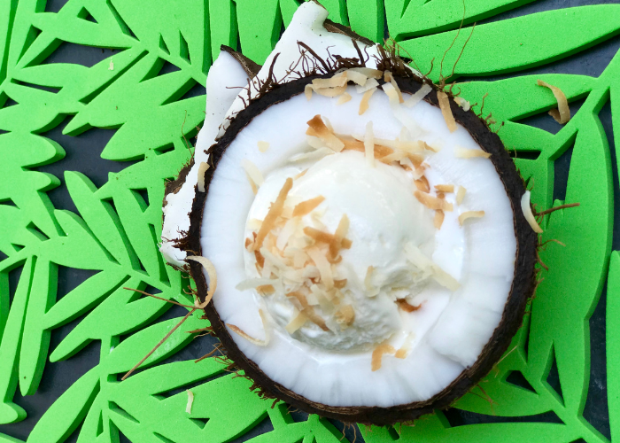 Toasted Coconut Ice Cream