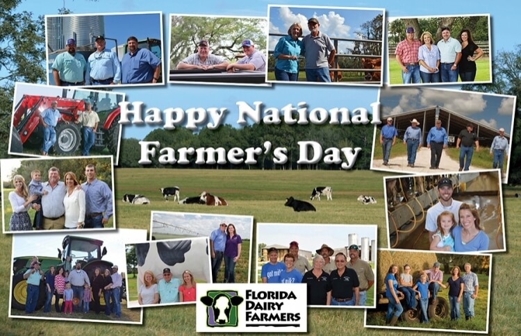 Celebrating our Dairy Farmers on National Farmers Day Featured Image