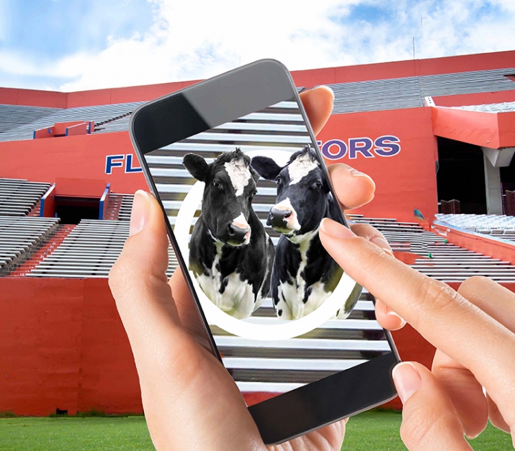 Let Florida Dairy Farmers Upgrade Your Seats in the #MOOveoftheGame Featured Image