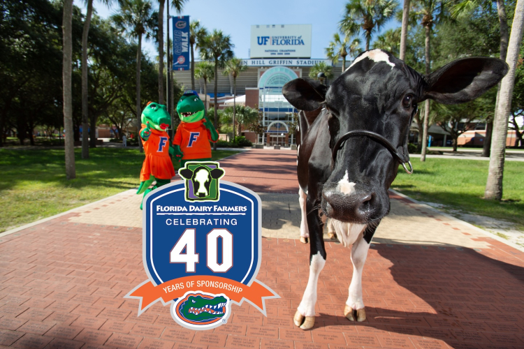 40 Prizes 40 Years with the Florida Gators Sweepstakes Rules  Featured Image